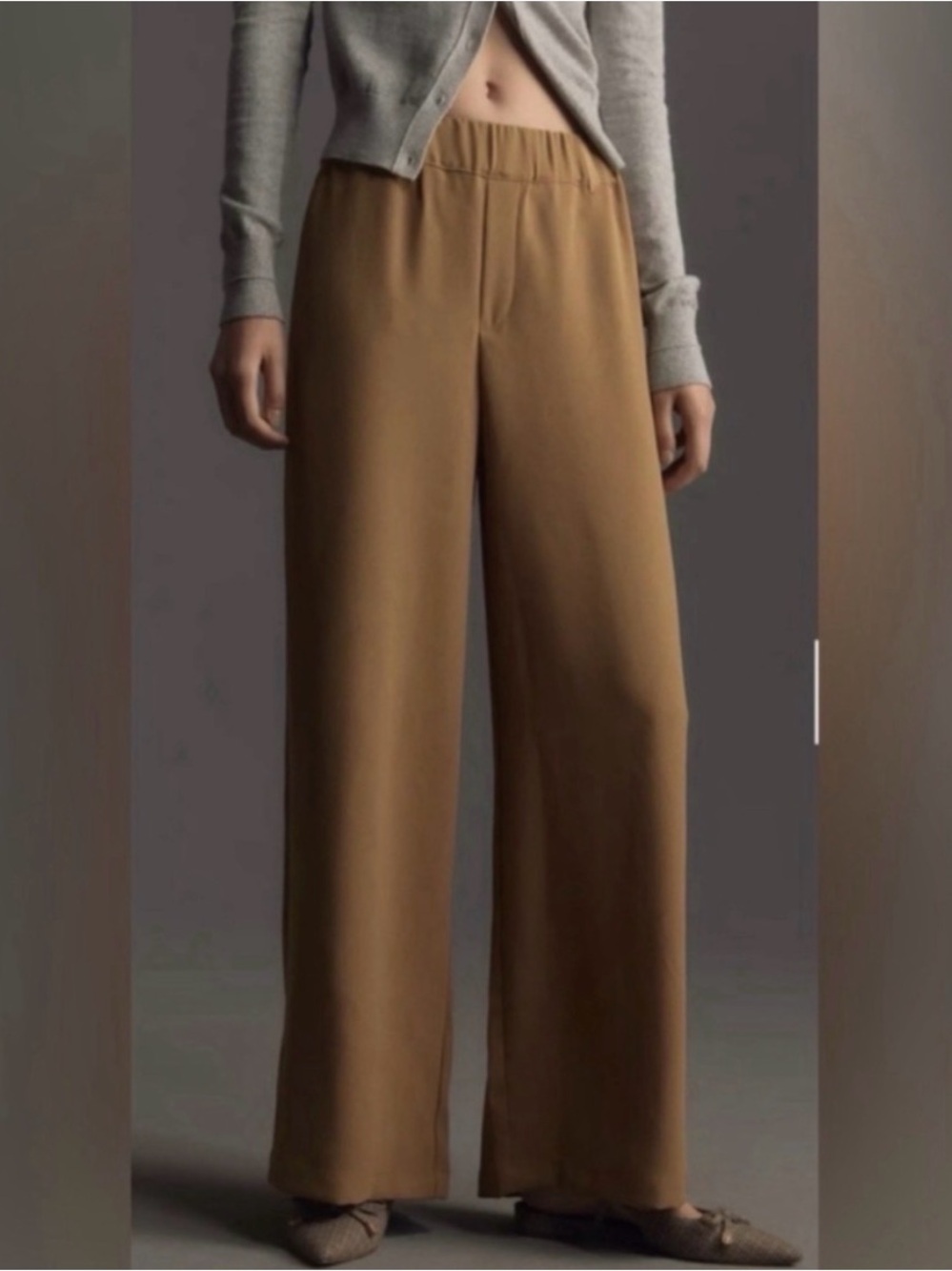 Anthropologie Wide-Leg Tuxedo Stripe Pants in Camel